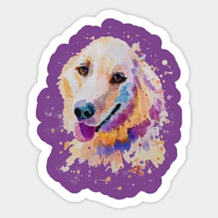 Golden retriever portrait Sticker